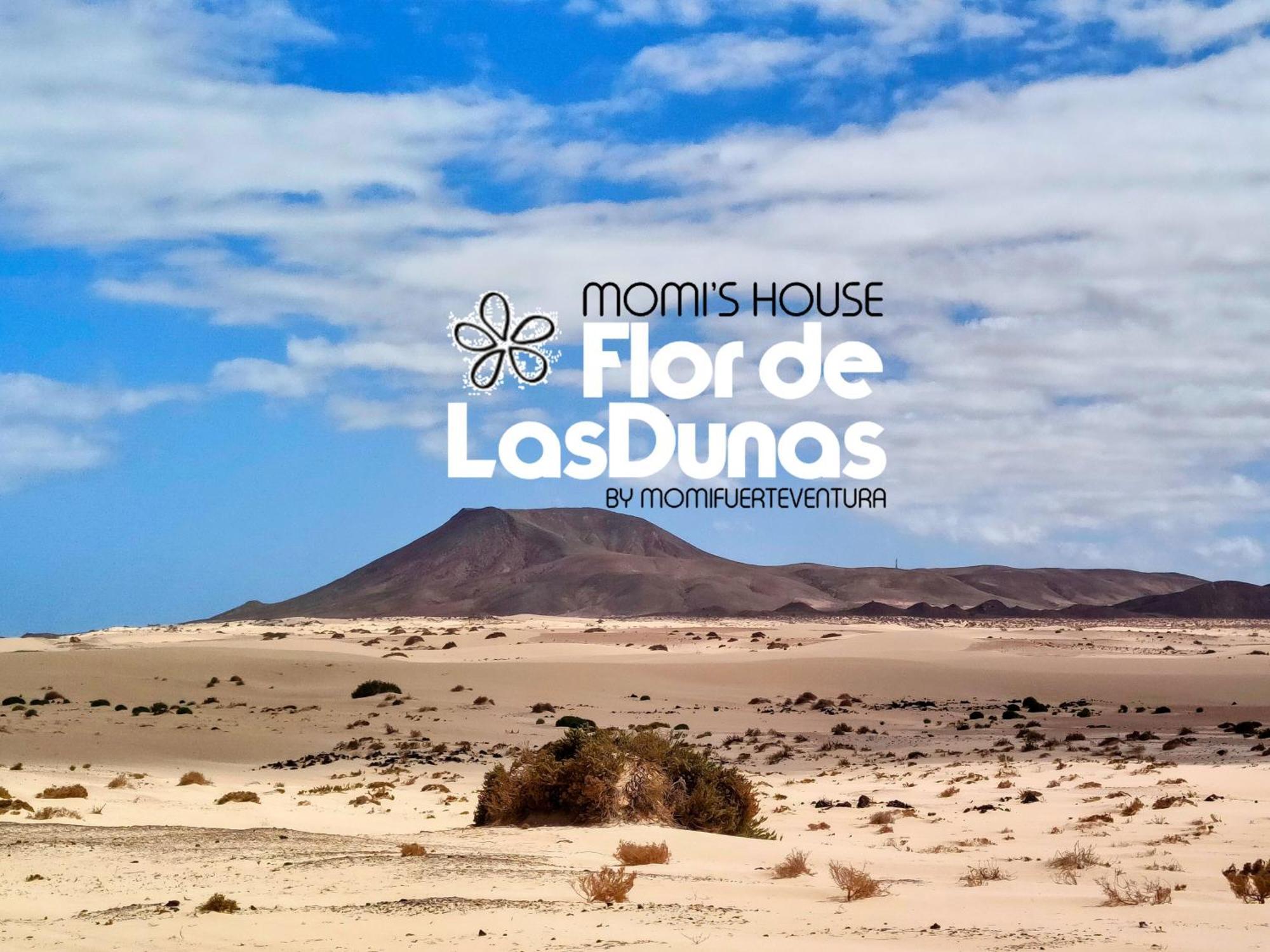 Flor De Las Dunas Pools Wifi Tennis Bikes For Free Corralejo Exteriér fotografie